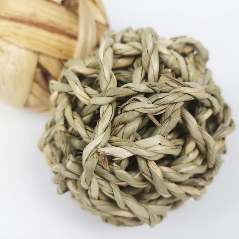 Juguetes para Molar y Masticar – Diversión y Cuidado Dental para Roedores 🌱