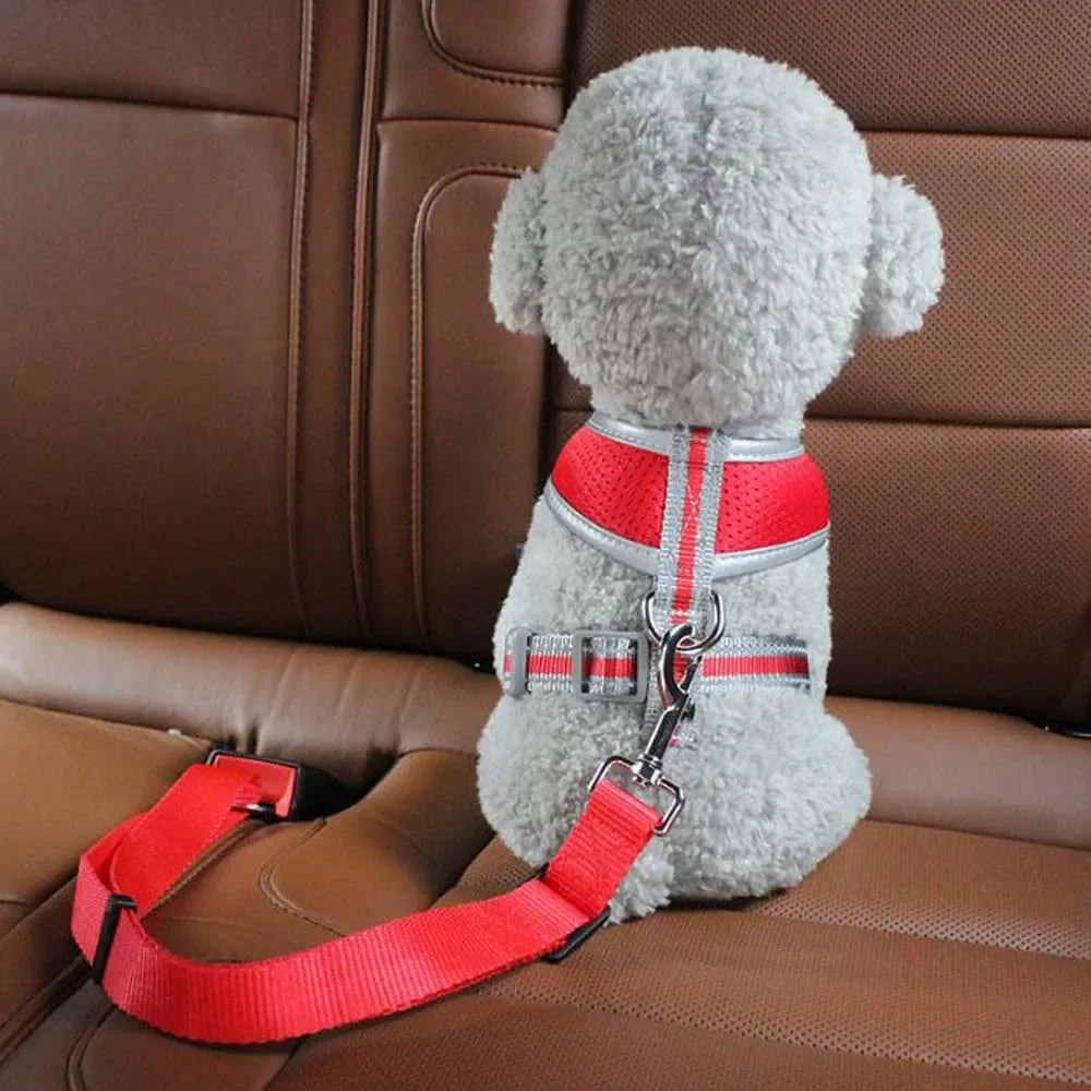 Cinturón de Seguridad para Mascotas – Protección en Cada Viaje