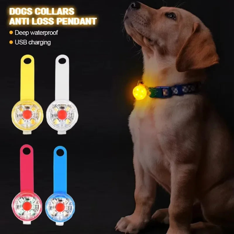 Collar de Seguridad LED Recargable – Protección y Visibilidad para tu Mascota