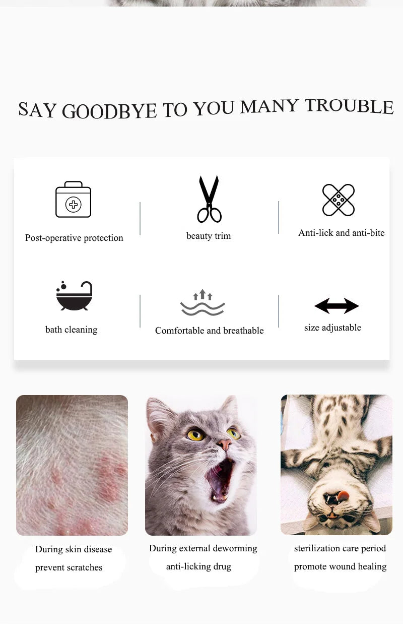 Collar Protector Elizabeth – Seguridad y Comodidad en el Postoperatorio