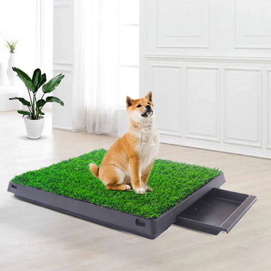 Alfombra de Césped Artificial – Entrenamiento y Comodidad para Mascotas