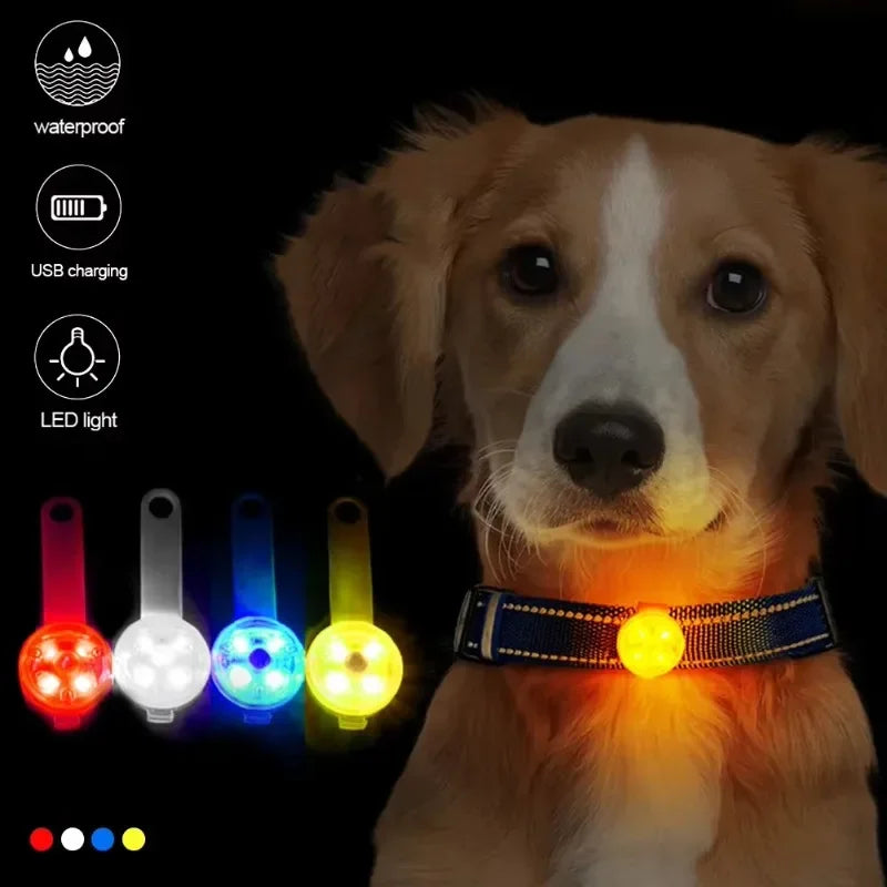 Collar de Seguridad LED Recargable – Protección y Visibilidad para tu Mascota