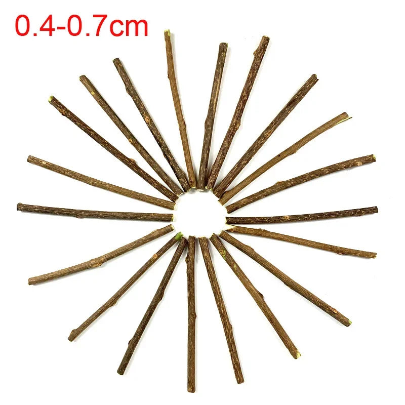 Snacks Naturales de Matatabi para Gatos – Cuidado Dental y Diversión Felina