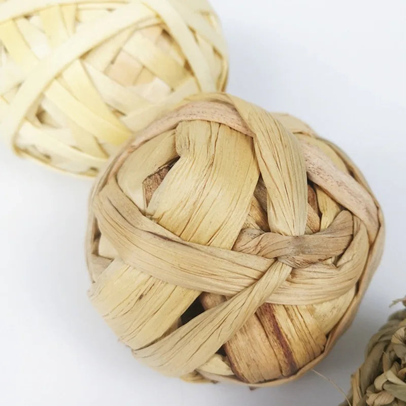 Juguetes para Molar y Masticar – Diversión y Cuidado Dental para Roedores 🌱