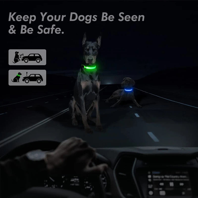 Collar Luminoso LED Recargable – Seguridad y Visibilidad para Tu Mascota