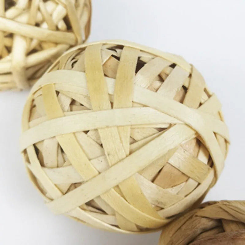 Juguetes para Molar y Masticar – Diversión y Cuidado Dental para Roedores 🌱