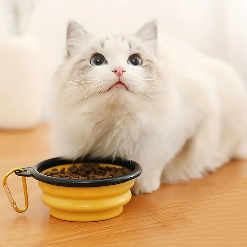 Cuenco Plegable para Mascotas – Comodidad y Sostenibilidad en Cada Viaje