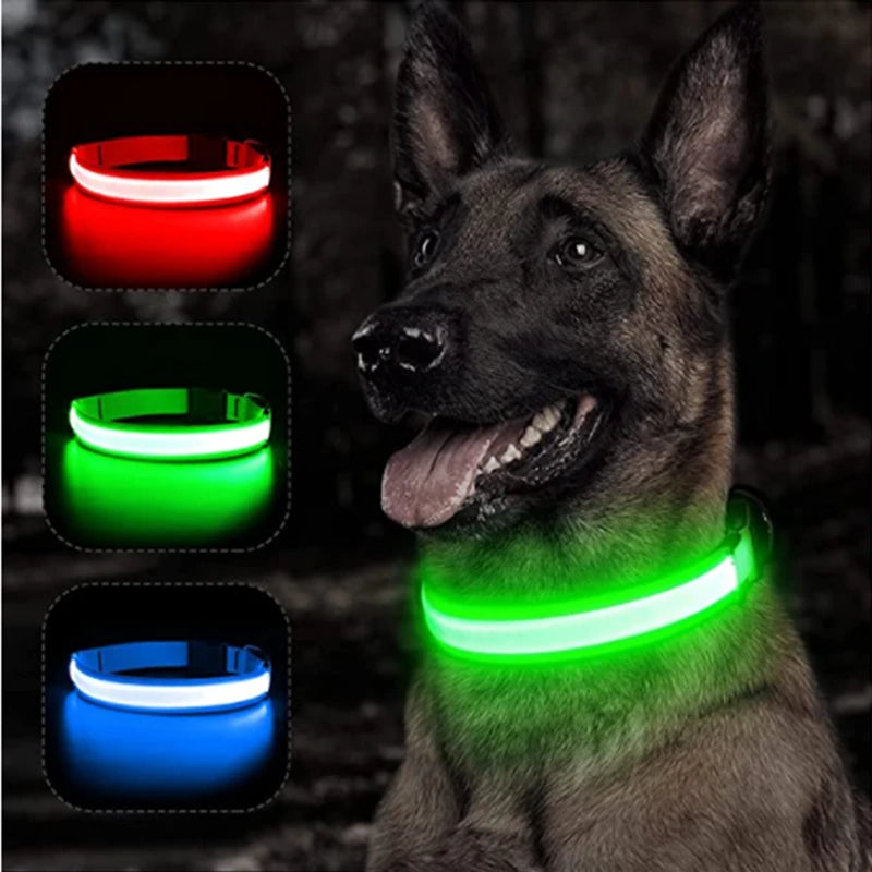 Collar Luminoso LED Recargable – Seguridad y Visibilidad para Tu Mascota
